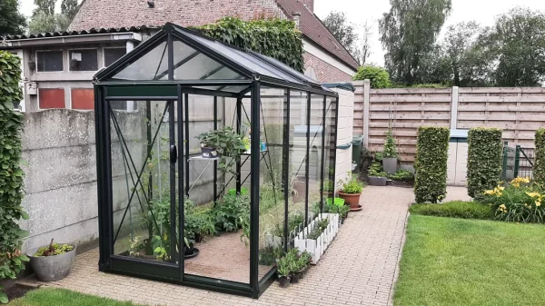 ACD Premium Greenhouse - 5 x 10 - 1.59m x 2.98m (4.74m²) - Choices Available