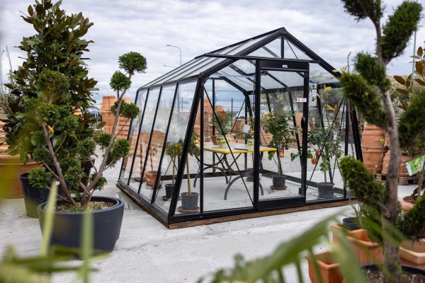 ACD Premium Greenhouse With Sloped Walls - 10 x 10 - 3.06m x 3.06m - Choices Available